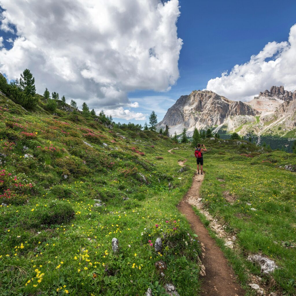 Valley of Flowers Trek